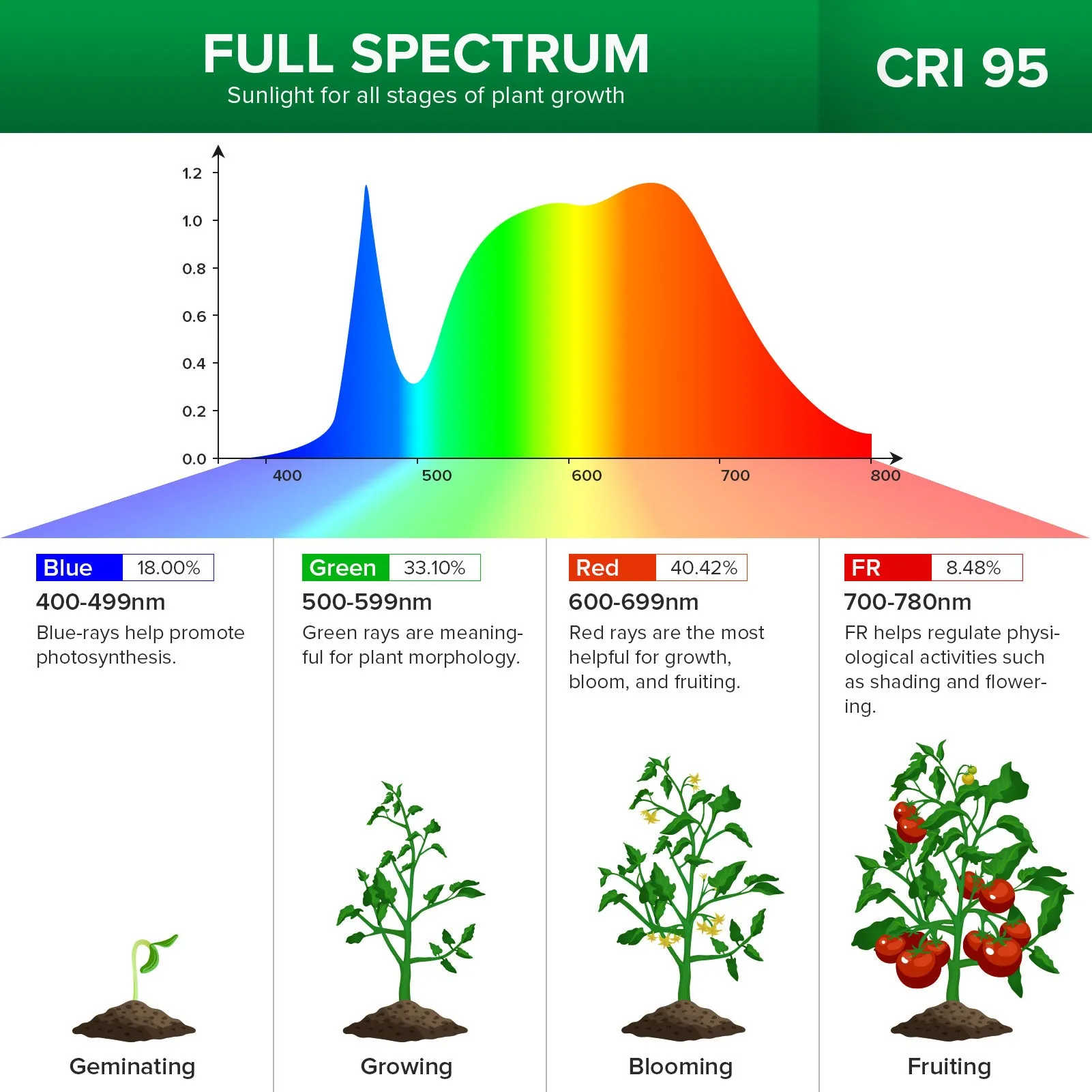 40W Adjustable 4-Head Clip-on LED Grow Light with Timer/No Timer