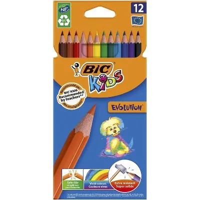 Bic Kids Evolution Tripes Colouring Pencil x12