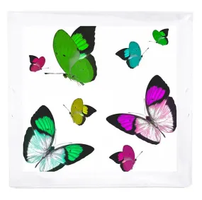 Butterflies Acid Green 18X18 Acrylic Tray