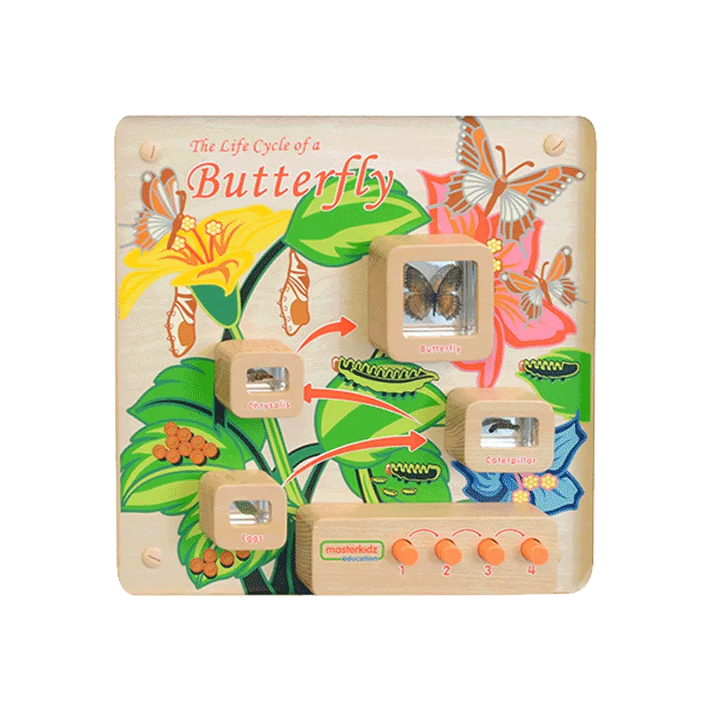 Light-Up Butterfly Life Cycle Stages Panel