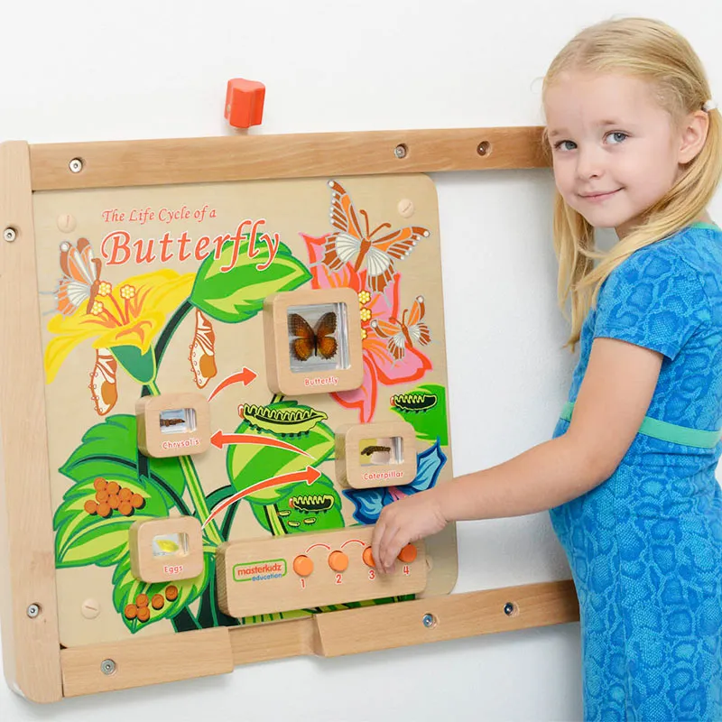 Light-Up Butterfly Life Cycle Stages Panel