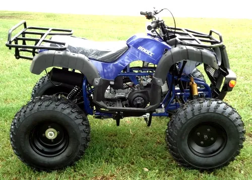 RPS Desert 200 Utility 200ATV-21 Adult ATV - 149cc, Automatic, Reverse, 21" Tires, Dual Racks, LED Lights