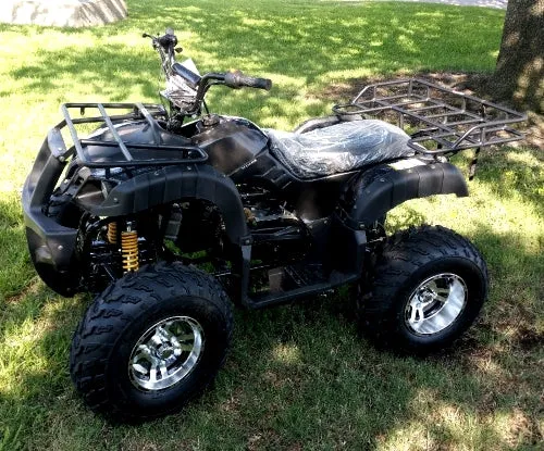 RPS Desert 200 Utility ATV Deluxe Full Size Adult ATV, Automatic with Reverse, Aluminum Rim 21-inch Tires